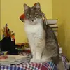 Отзыв от Лилия Бычкова